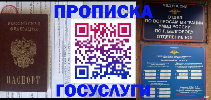 временная регистрация собственник в Грозном